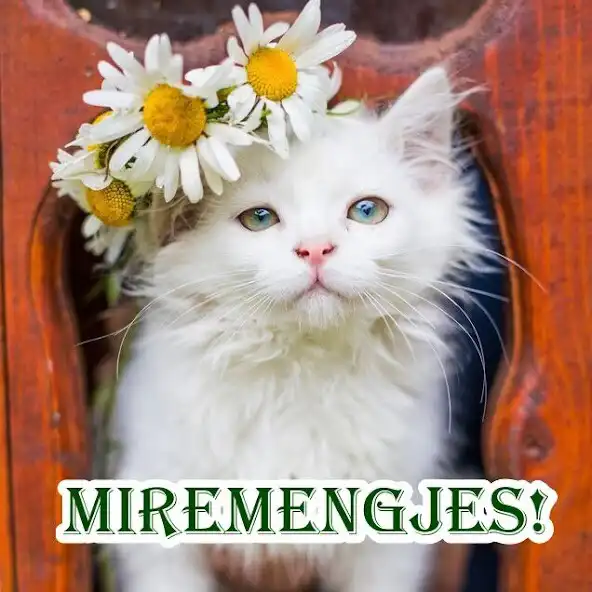 Play Miremengjes  and enjoy Miremengjes with UptoPlay