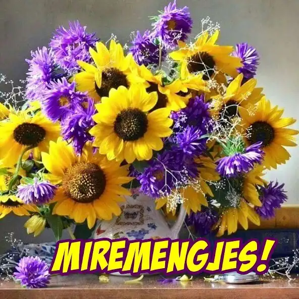 Play Miremengjes as an online game Miremengjes with UptoPlay