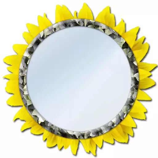 Free play online Mirror - Light, Zoom, Selfie  APK