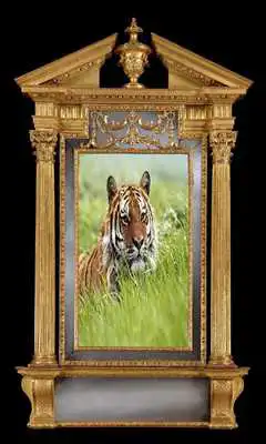 Play Mirror Photo Frame