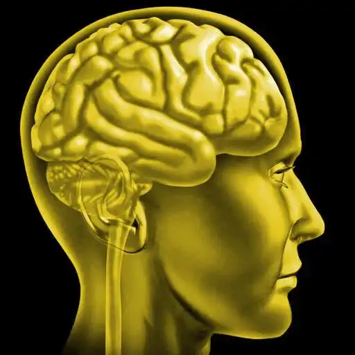 Play Misophonia Muscle Relaxation Training APK