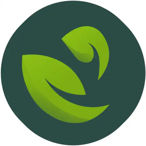 Play Misra APK Play Misra APK