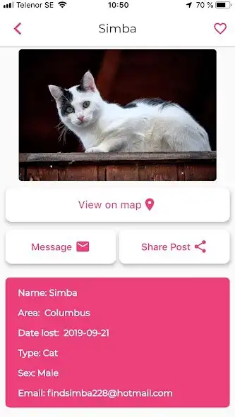Play Missing Pets - Find Lost Pet as an online game Missing Pets - Find Lost Pet with UptoPlay
