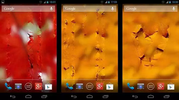 Play Misted Screen