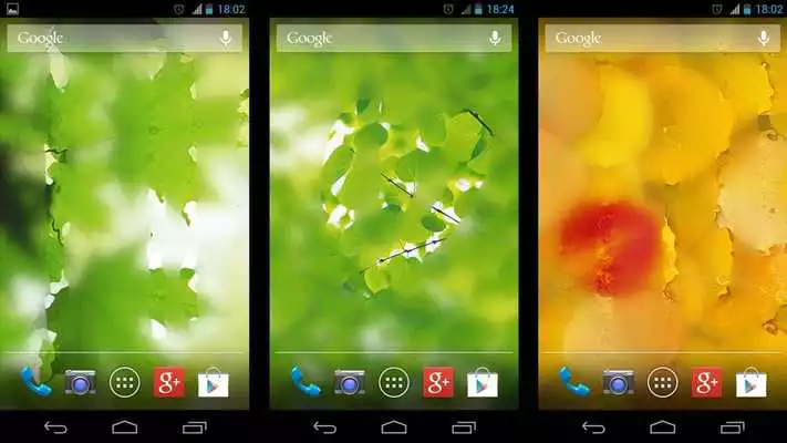 Play Misted Screen