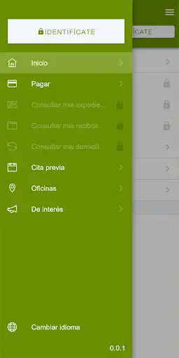 Play Mis Tributos  and enjoy Mis Tributos with UptoPlay
