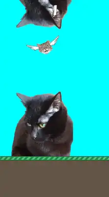 Play Misty In The Sky