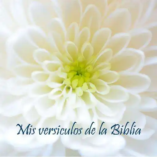 Play Mis versiculos de la Biblia APK