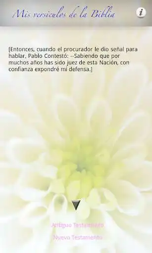 Play Mis versiculos de la Biblia as an online game online Mis versiculos de la Biblia with UptoPlay com.appwings.bibleverse Play Mis versiculos de la Biblia as an online game Mis versiculos de la Biblia with UptoPlay