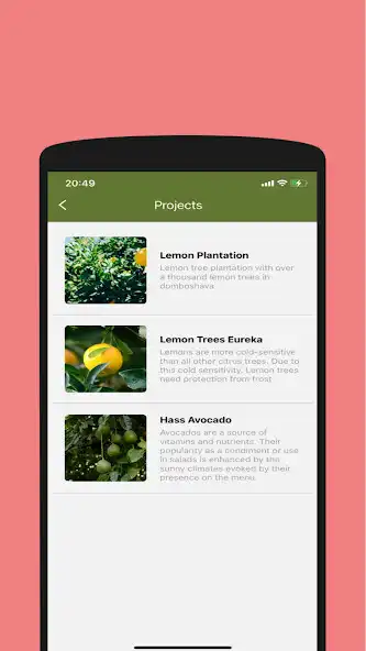 Play Mitiexchange as an online game Mitiexchange with UptoPlay