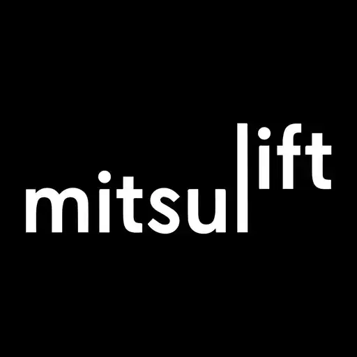 Play Mitsulift Team APK