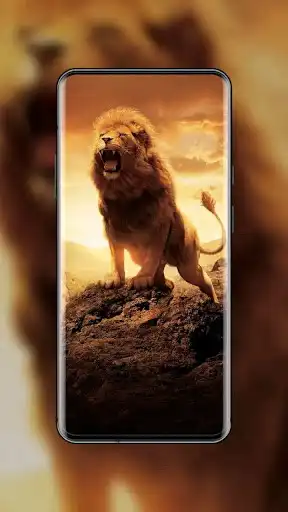 Play MI wallpaper as an online game MI wallpaper with UptoPlay