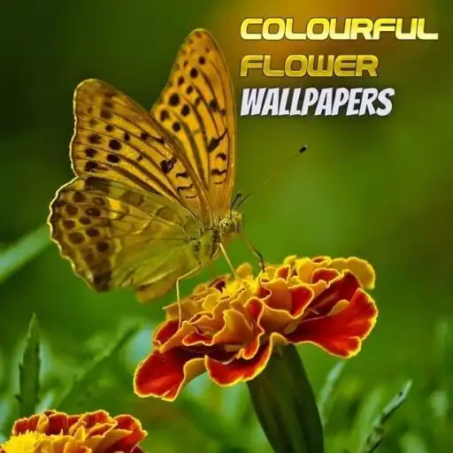 Play Mix Colourful Flowers Live Wallpaper APK Play Mix Colourful Flowers Live Wallpaper APK