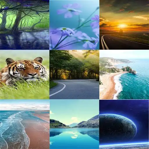 Play MixRo Nature Photos APK