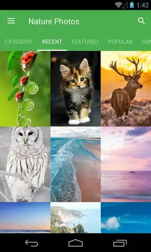 Play MixRo Nature Photos  and enjoy MixRo Nature Photos with UptoPlay