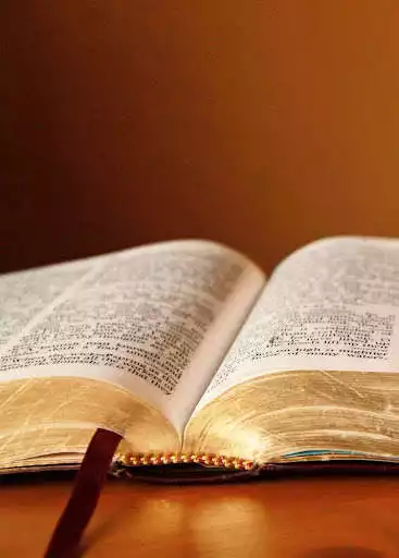 Play Mizo Bible
