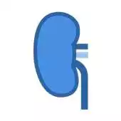 Free play online mKidney APK Free play online mKidney APK