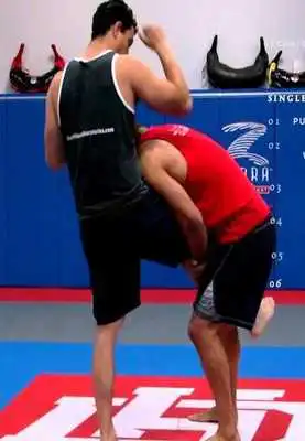 Play MMA FIGHTING