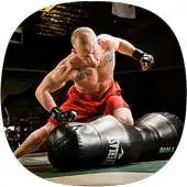 Free play online MMA Training APK Free play online MMA Training APK