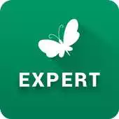 Free play online MN Experts APK Free play online MN Experts APK