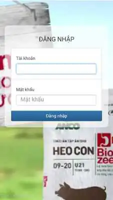 Play MNS Survey Report