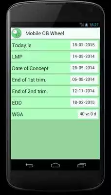 Play Mobile OB Wheel