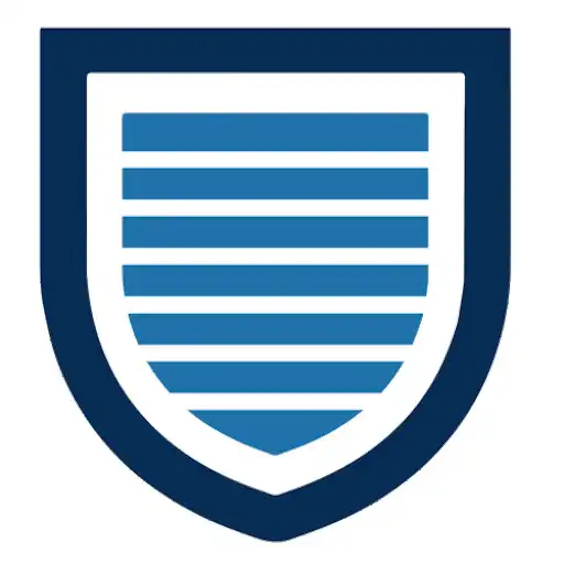 Play Mobile VPN Client APK