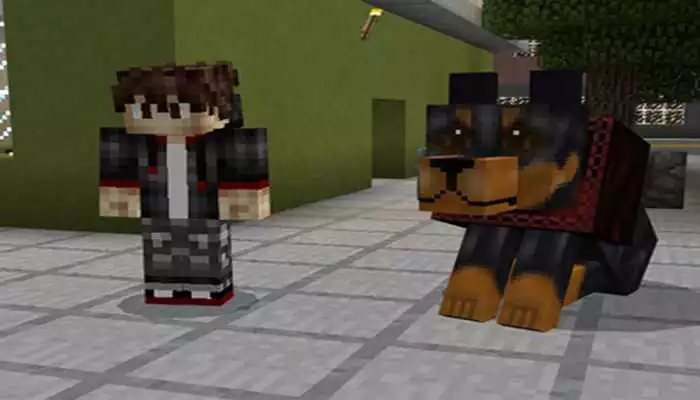 Play Mod Doberman Dog Addon MCPE