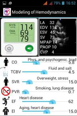 Play Modeling of Hemodynamics