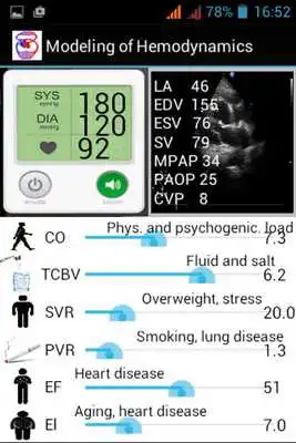 Play Modeling of Hemodynamics