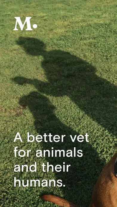 Play Modern Animal  and enjoy Modern Animal with UptoPlay