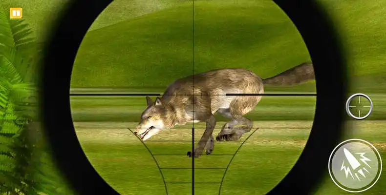 Play Modern Birds: Russian Hunter