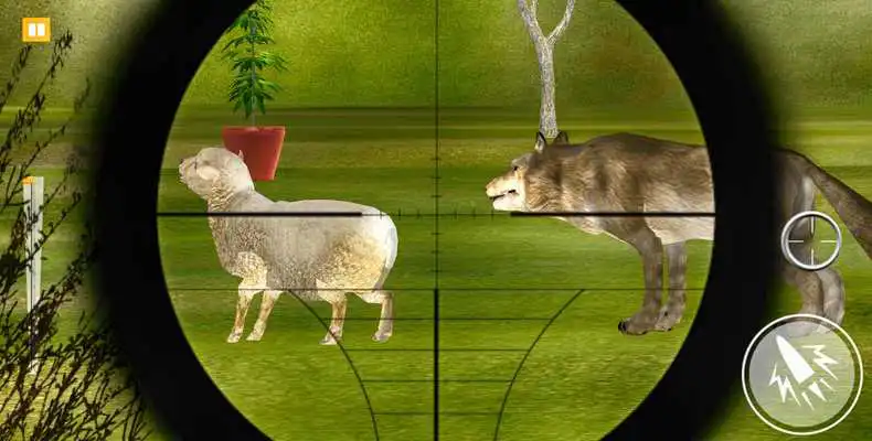 Play Modern Birds: Russian Hunter