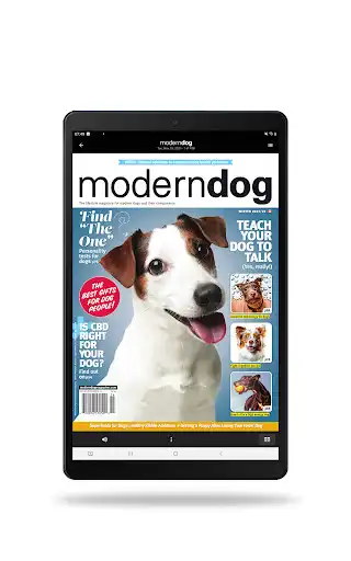 Play Modern Dog  and enjoy Modern Dog with UptoPlay