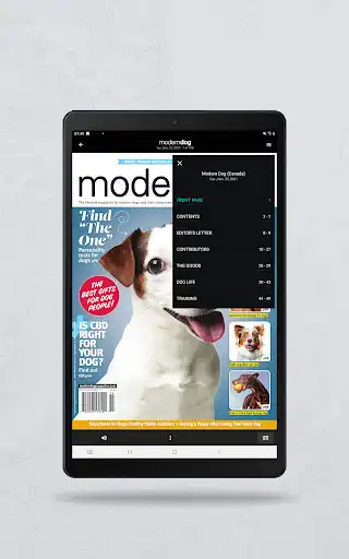 Play Modern Dog as an online game Modern Dog with UptoPlay