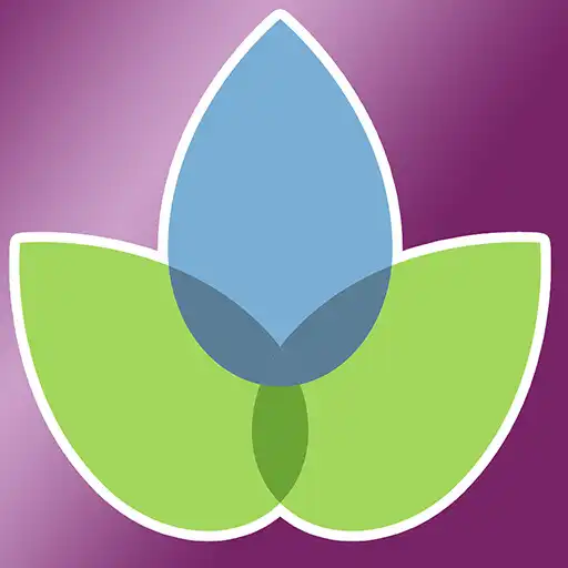 Play Modern Essentials Plus APK