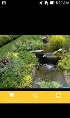 Play Modern Water Garden Design