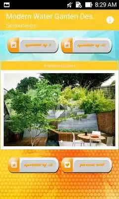 Play Modern Water Garden Design
