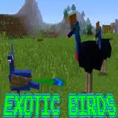 Free play online Mod Exotic Birds Minecraft APK