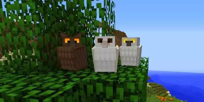 Play Mod Exotic Birds Minecraft Play Mod Exotic Birds Minecraft