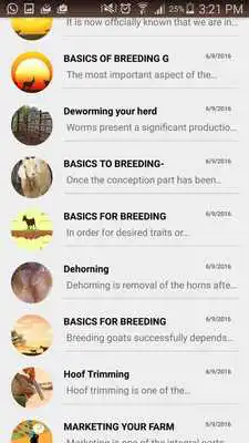 Play Modisar Articles