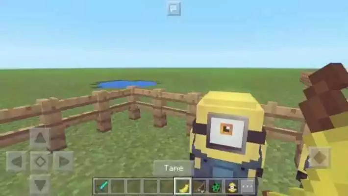 Play Mod Minions Army for MCPE