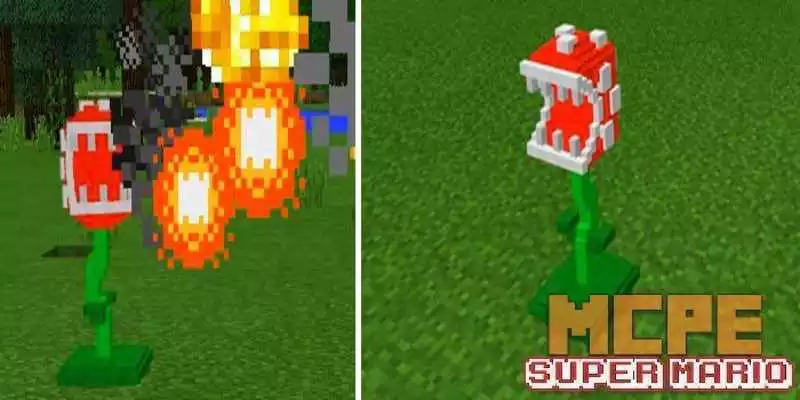 Play Mod Super Marios Bros MCPE