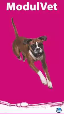 Play ModulVet