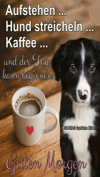 Play MoinMoin: Guten Morgen Sprüche as an online game MoinMoin: Guten Morgen Sprüche with UptoPlay