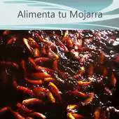 Free play online Mojarras APK