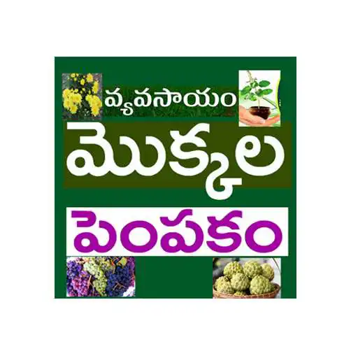 Play Mokkala Pempakam APK