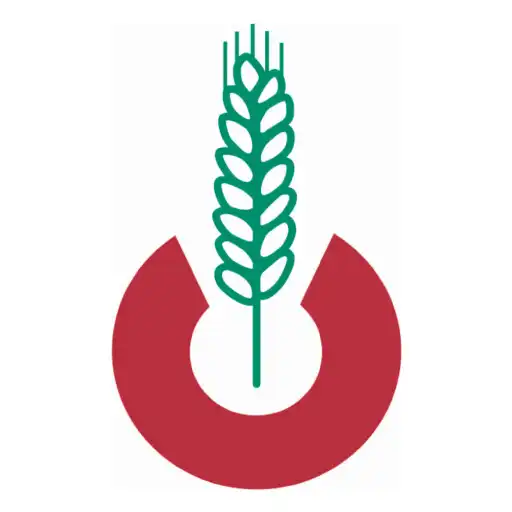 Play Moland Portal APK