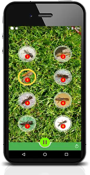 Play Mole cricket Sound as an online game Mole cricket Sound with UptoPlay