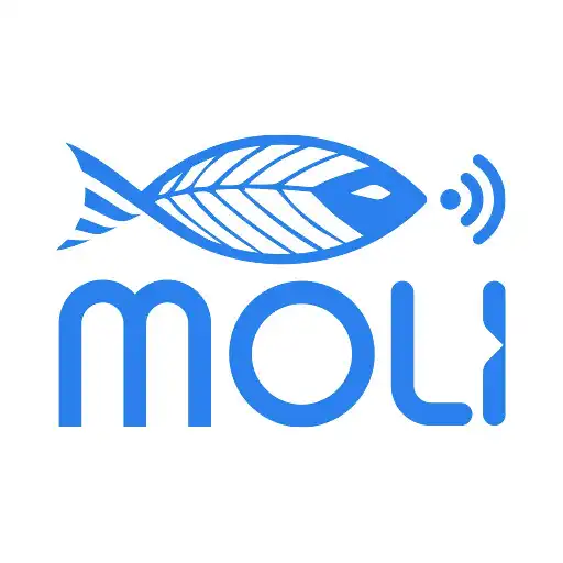 Play Moli APK Play Moli APK